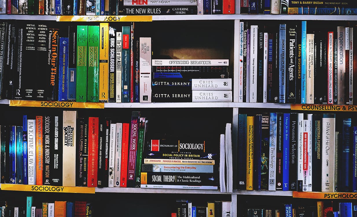 Buch regal